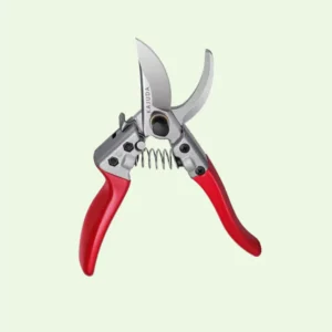 Garden Scissors